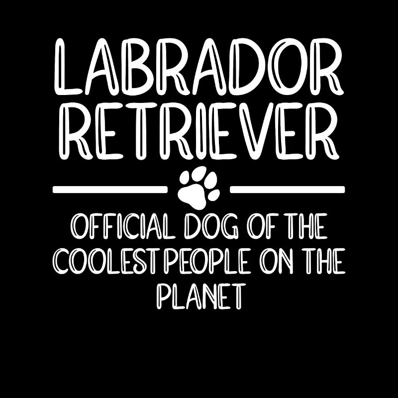 Labrador Dogs