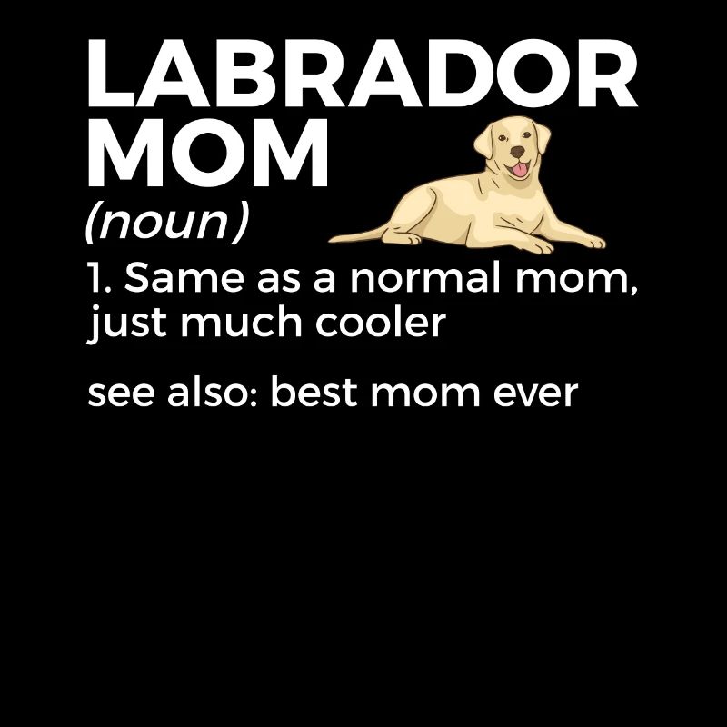 Labrador Hunde