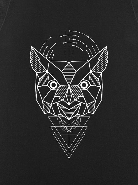 Owl Polygon