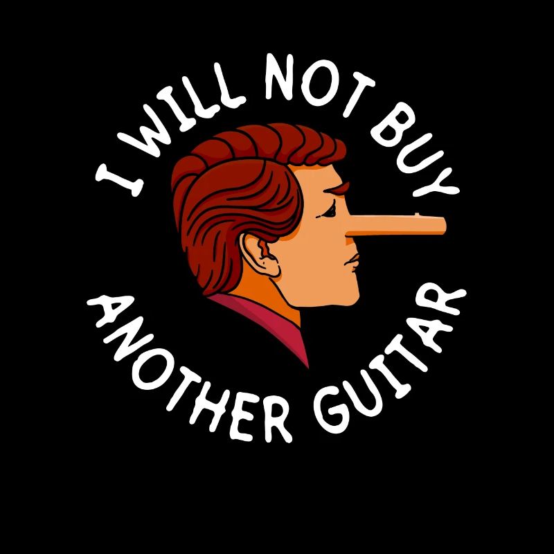 Ich werde keine weitere Gitarre kaufen - E-Gitarre