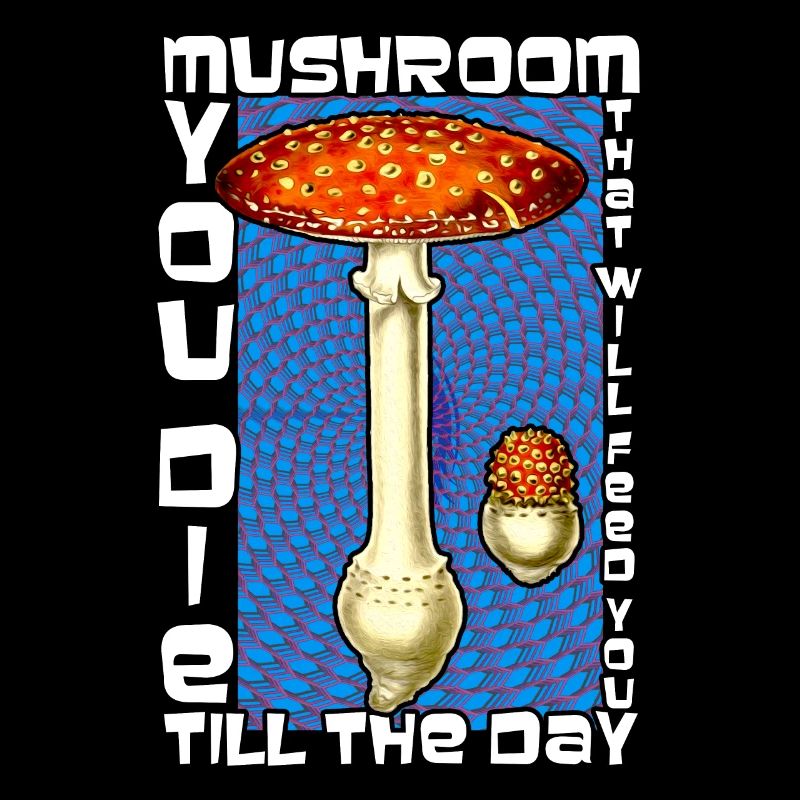Amanita Muscaria Evolution Fly Agaric