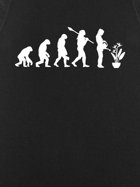 Strelizie Evolution Jardinier