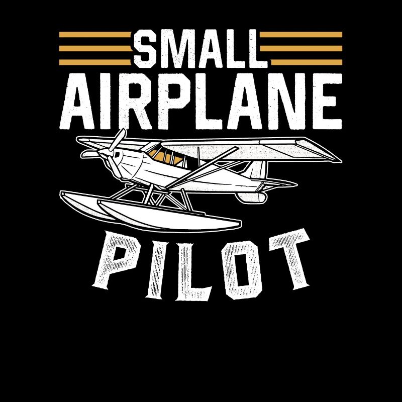 Pilot Eines Kleinflugzeugs Jet Kleinflugzeug