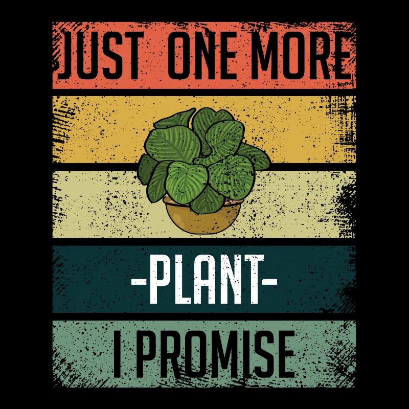 Noch ein Pflanzenbauer Garten Hobbygärtner