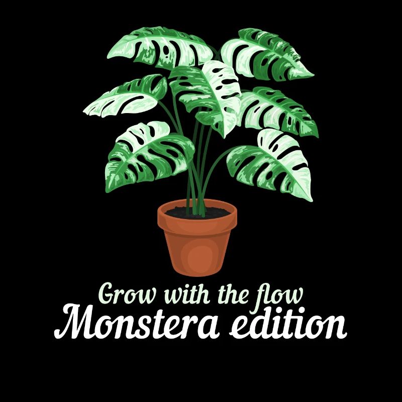 Grandir avec le Flow Monstera