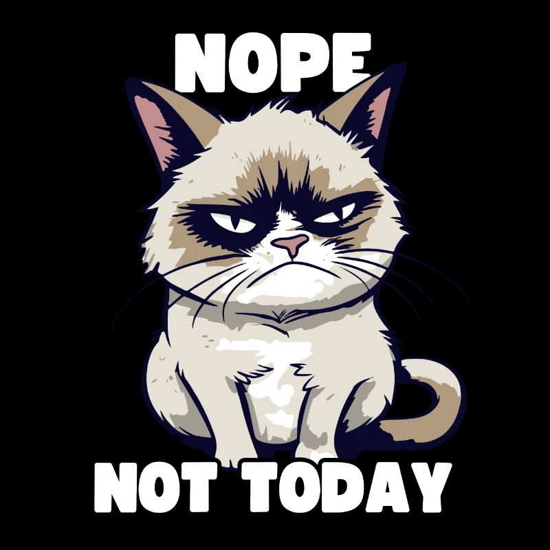 Lustige Grump Cat - Nope, Not Today - Sarkasmus