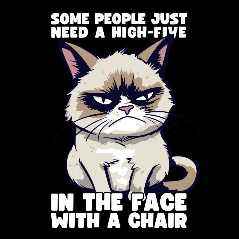 Chat Certaines personnes ont juste besoin d’un high five dans le visage