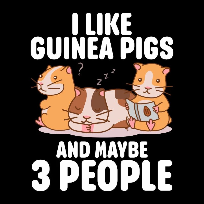 Guinea Pig Gift Pet Guinea Pig