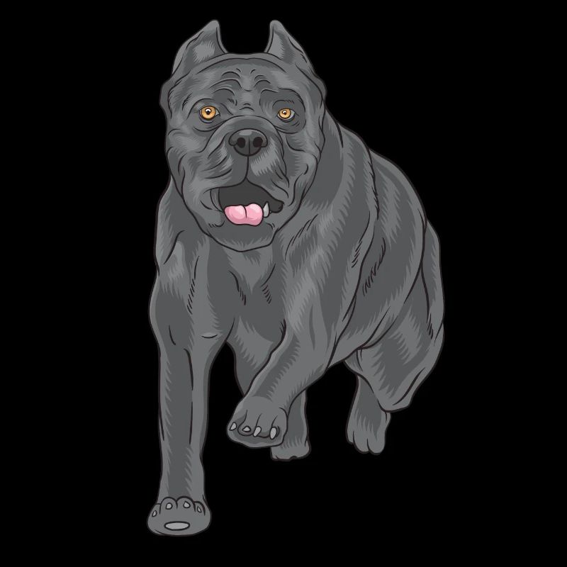 Glücklicher Cane Corso