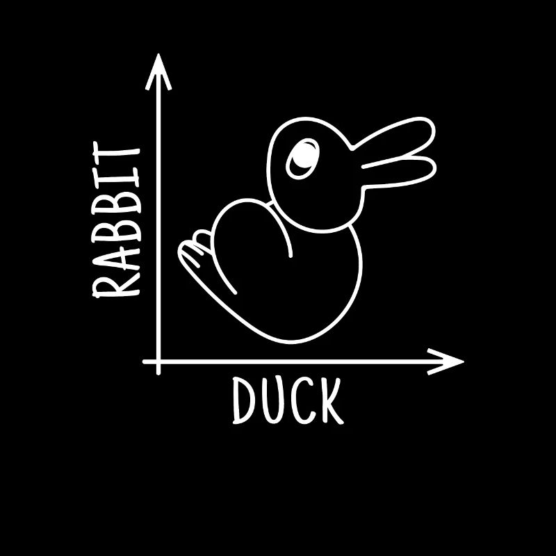 Rabbit Duck Illusion