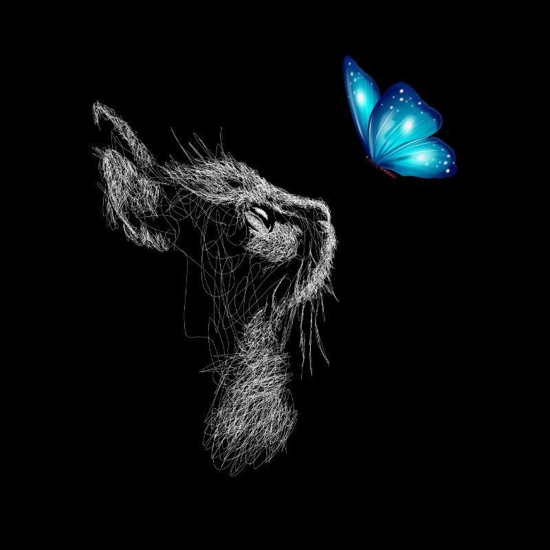 Chat noir avec papillon bleu