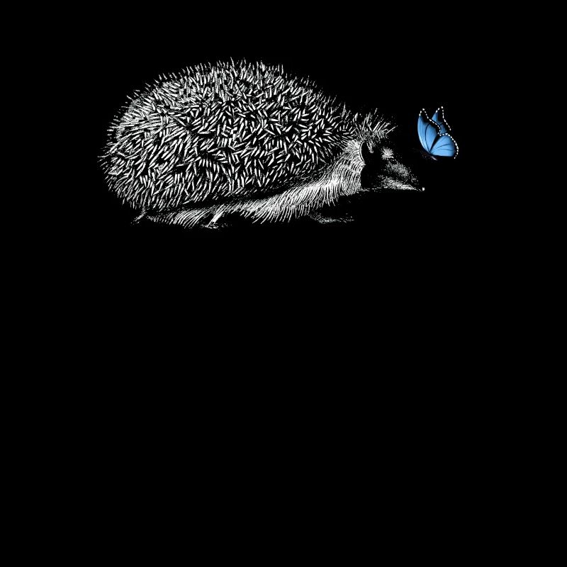 Igel mit Schmetterling
