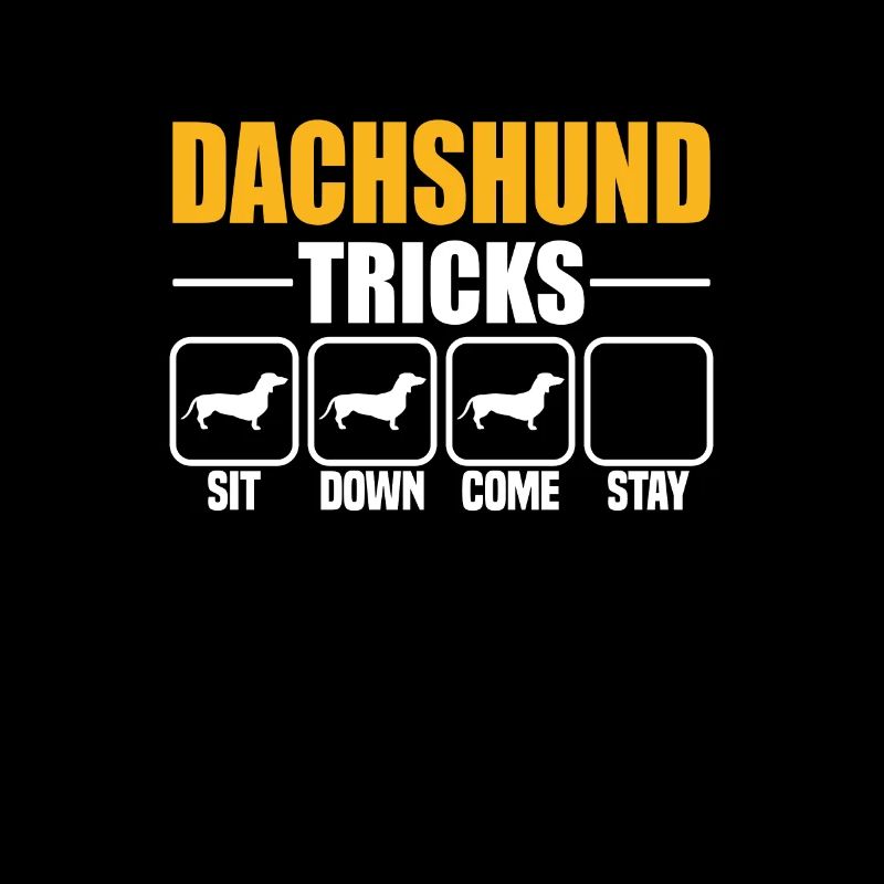 Dachshund Tricks
