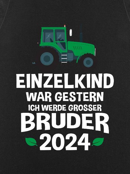 Big Brother 2024
