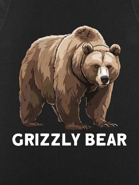 Grizzly Bear Brown Bear