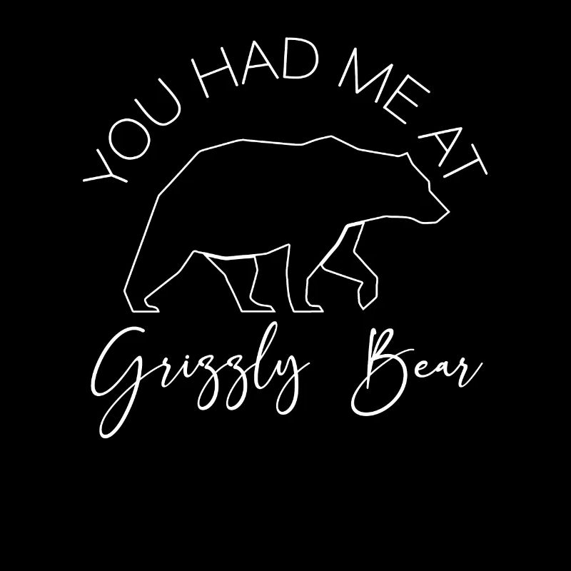 Grizzly Bear Brown Bear Bear