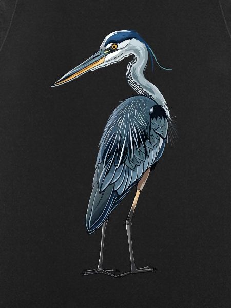 Little blue heron