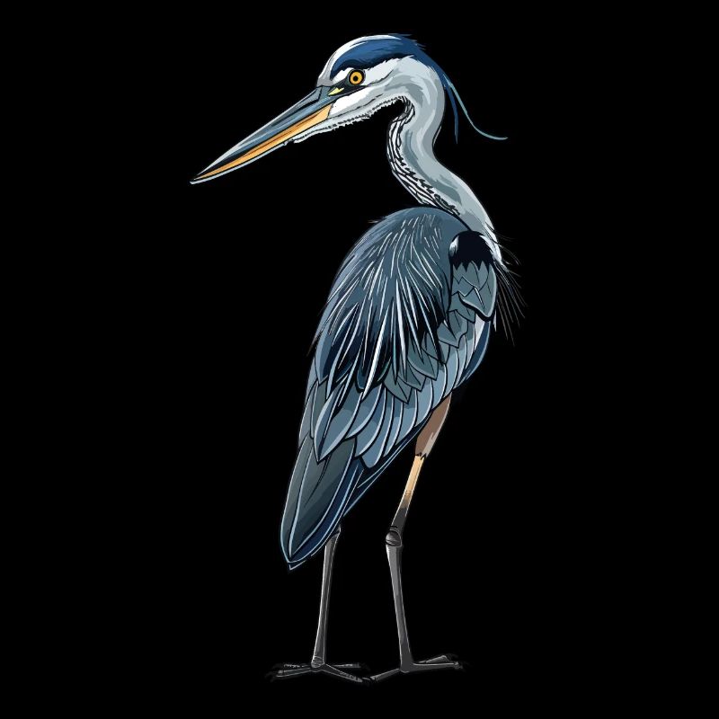 Petit héron bleu
