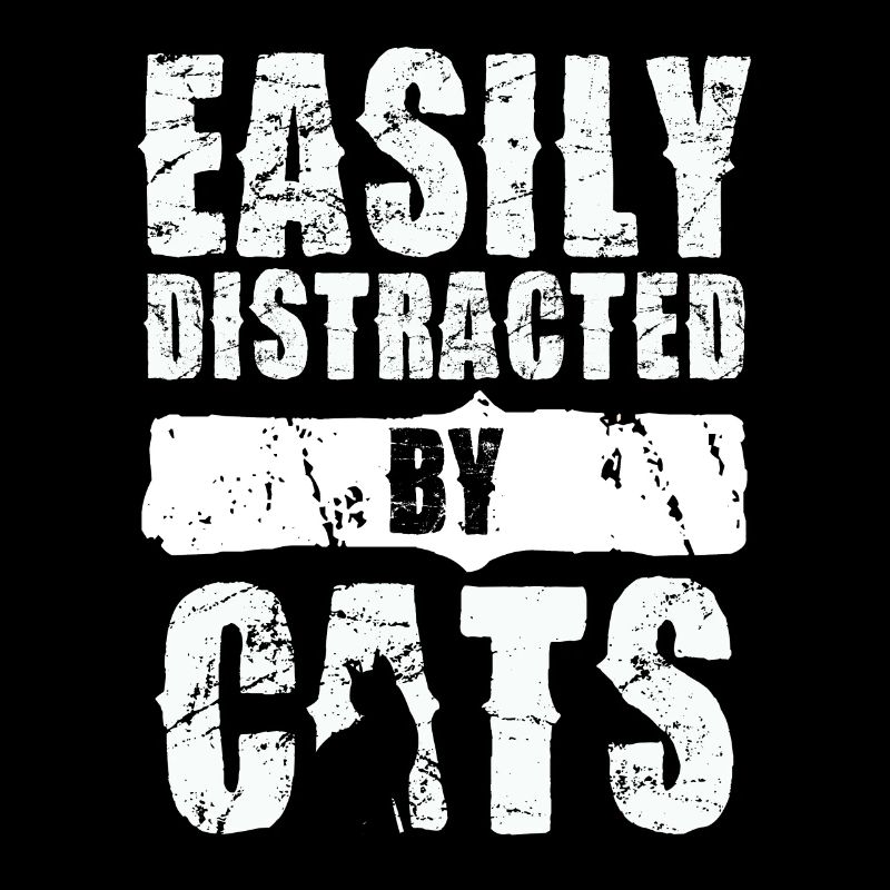 Easily distracted by cats
