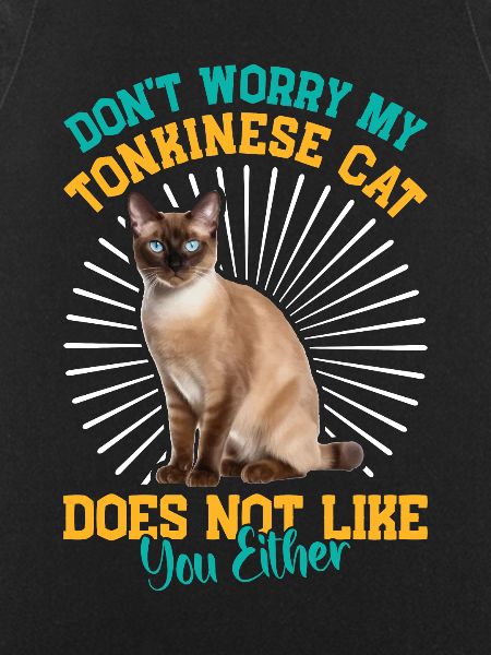 Chat tonkinois