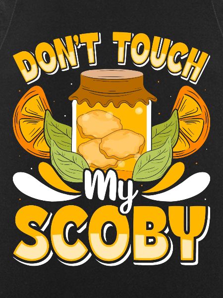 Kombucha Scoby fermented drinks
