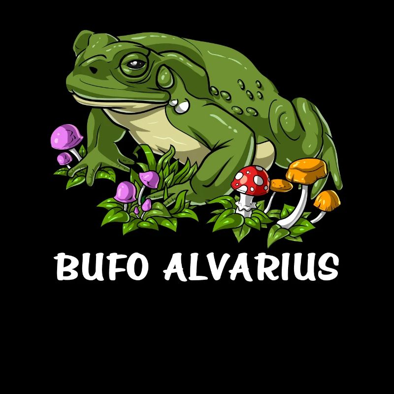Bufo Alvarius Toad