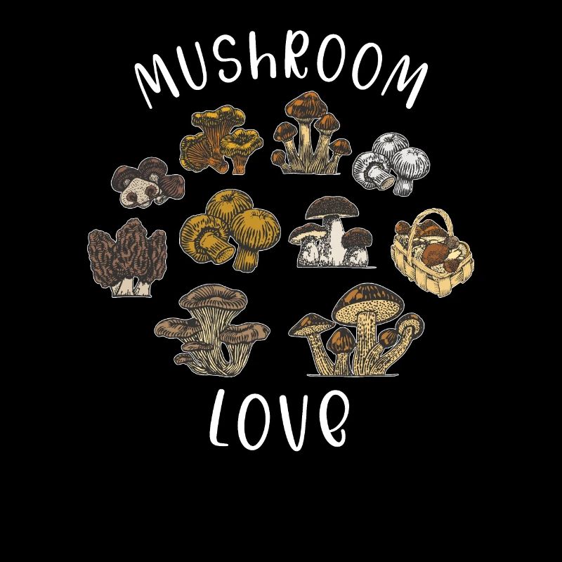 Champignon champignon cueilleur cueillette de champignons
