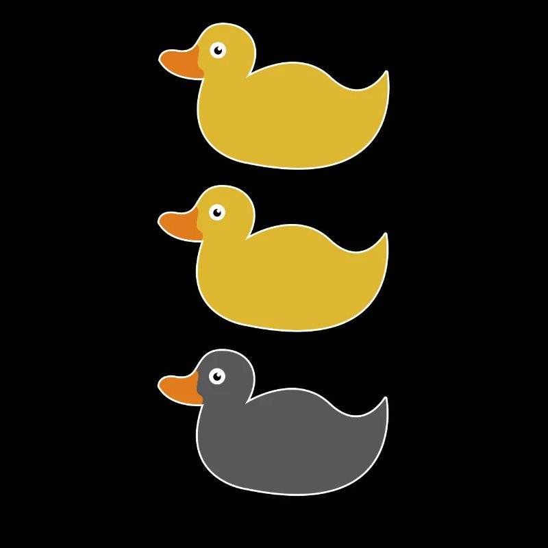 Canard canard canard gris