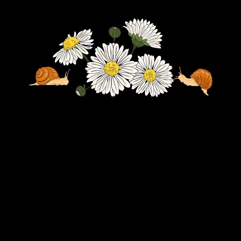Marguerites Daisy Summer Daisies Jardin de fleurs