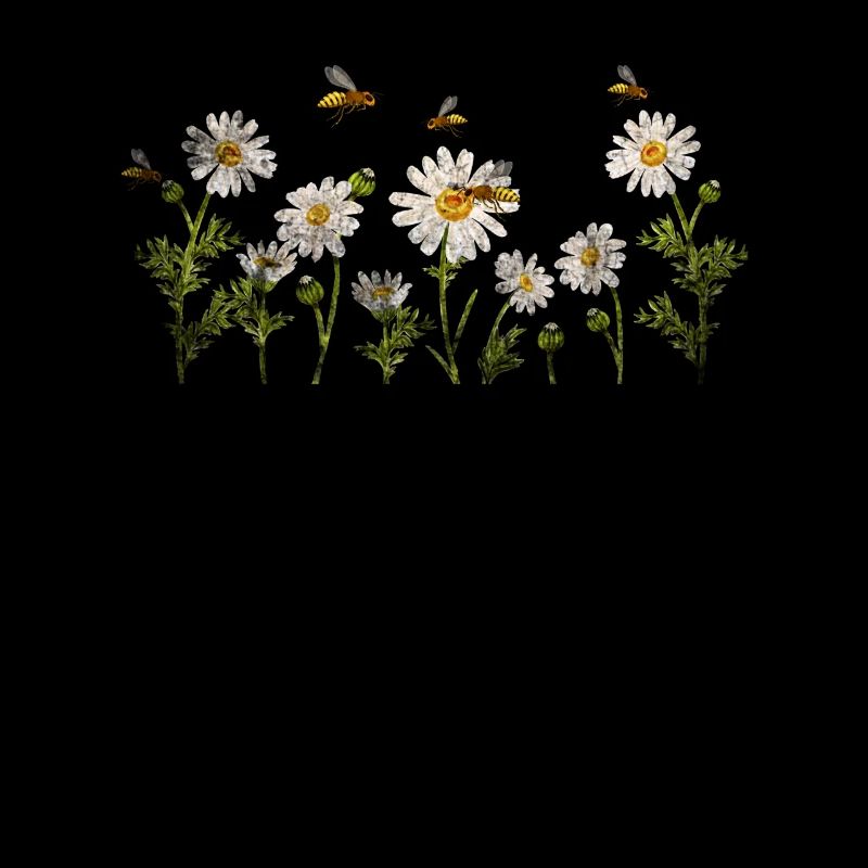 Marguerites Daisy Summer Daisies Jardin de fleurs