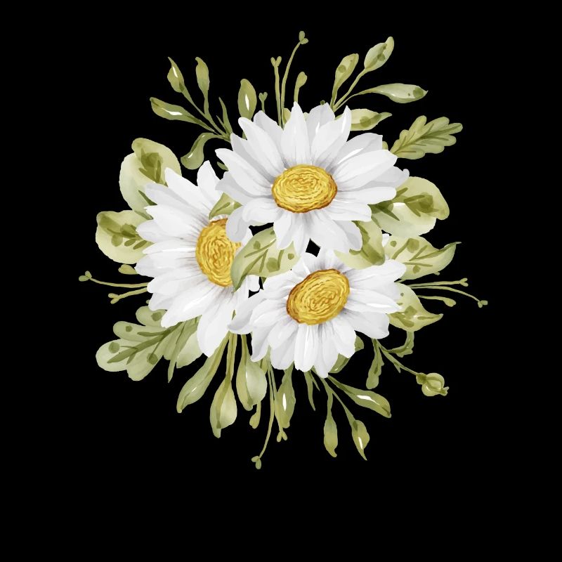 Marguerites Daisy Summer Daisies Jardin de fleurs