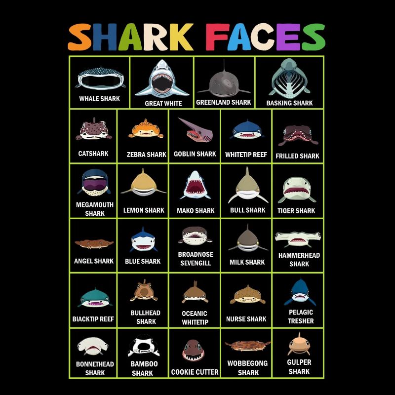 Types de visages de requin. Identification du visage du requin