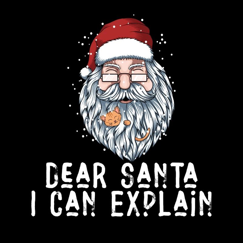 Dear Santa I Can Explain