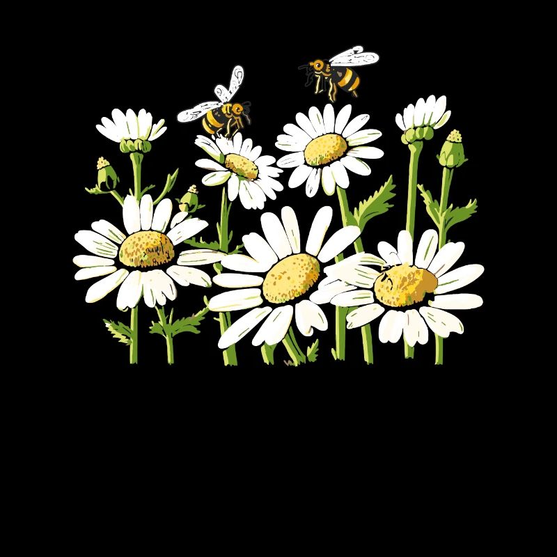 Marguerites Gänseblümchen Sommer Gänseblümchen Blumengarten