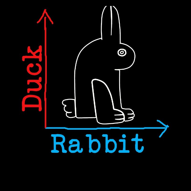 Wittgensteins Rabbit Duck Illusion