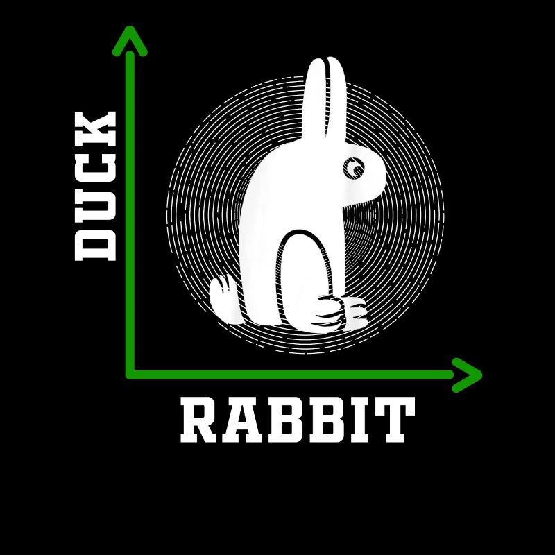 Wittgensteins Rabbit Duck Illusion