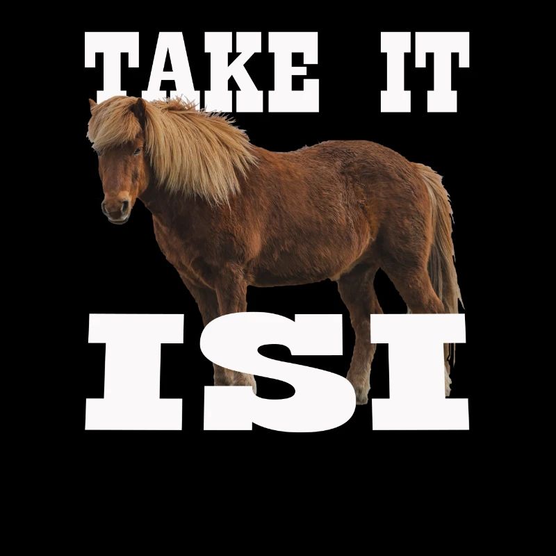Cheval islandais Take it Isi