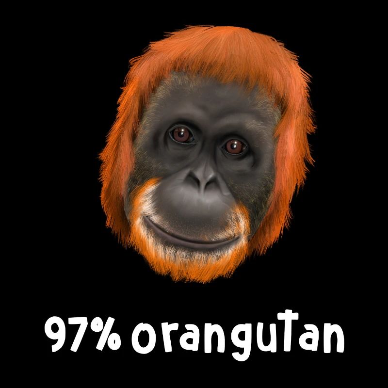 Monkey Ape Orangutan - 97 percent orangutan