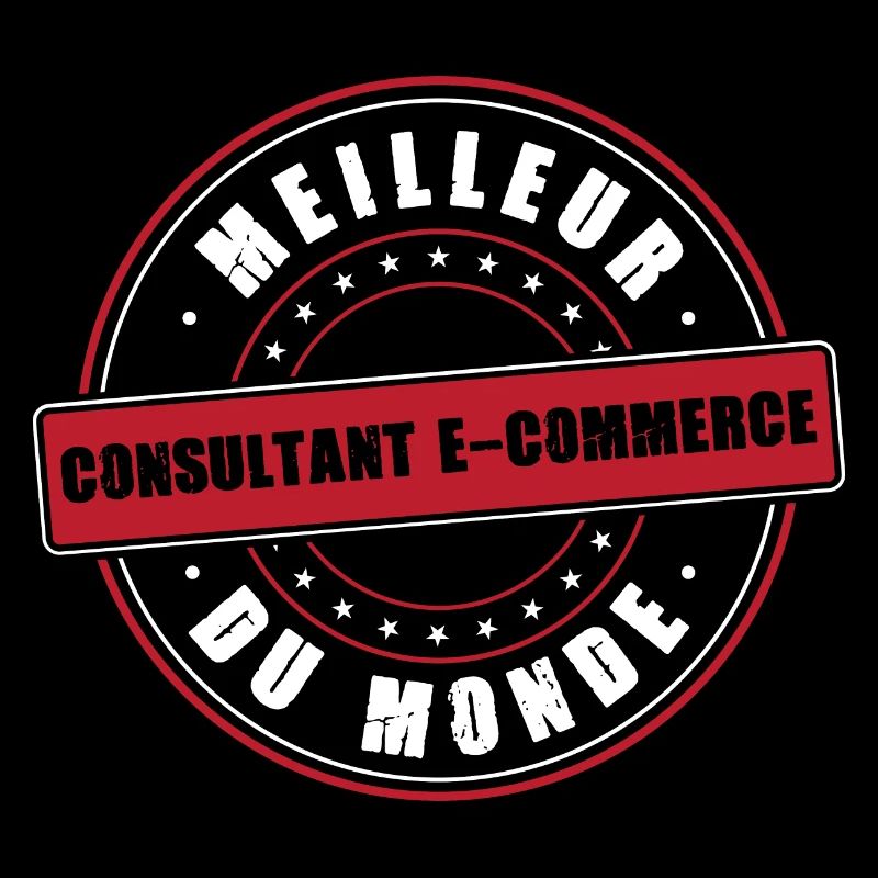 Meilleur consultant e commerce profession métier