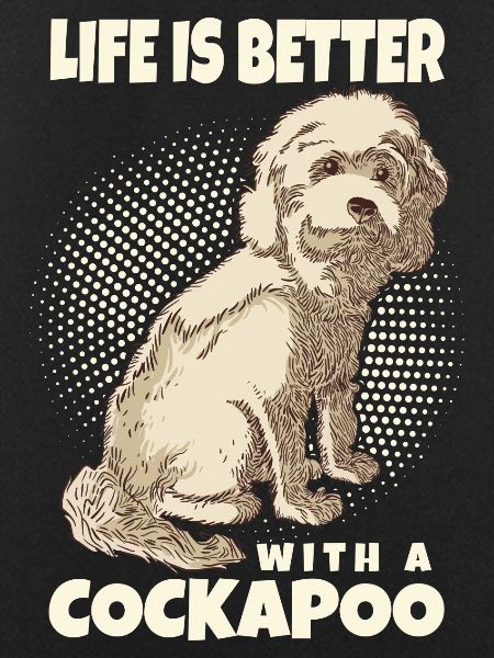Cockapoo