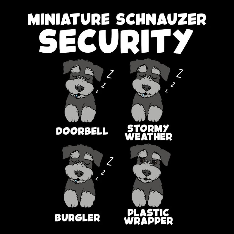 Zwergschnauzer