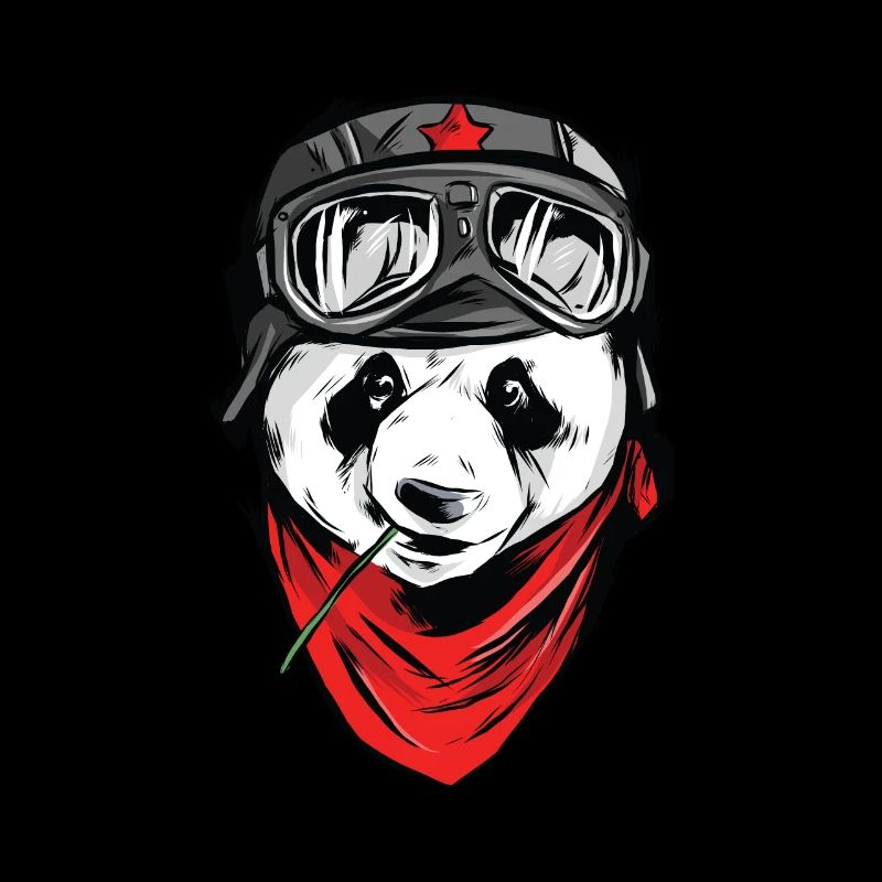 Pilote panda