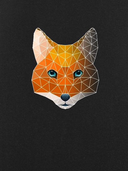 Polygon geometry fox
