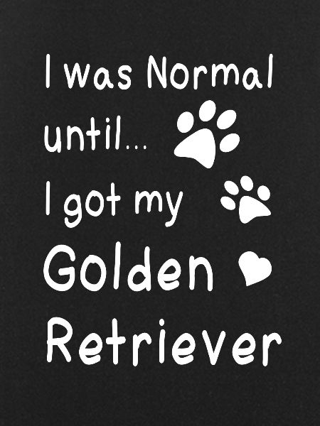 Golden retriever