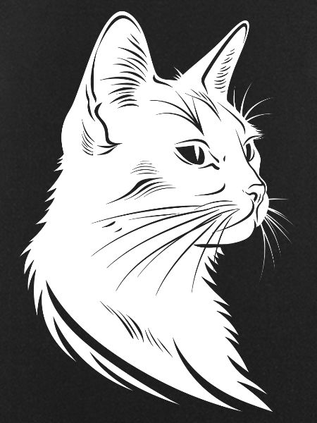 Cat Sketch