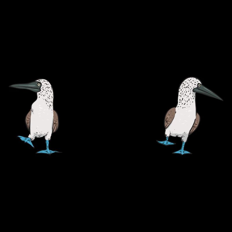 Blaufußtölpel Blue-footed Booby Seevogel