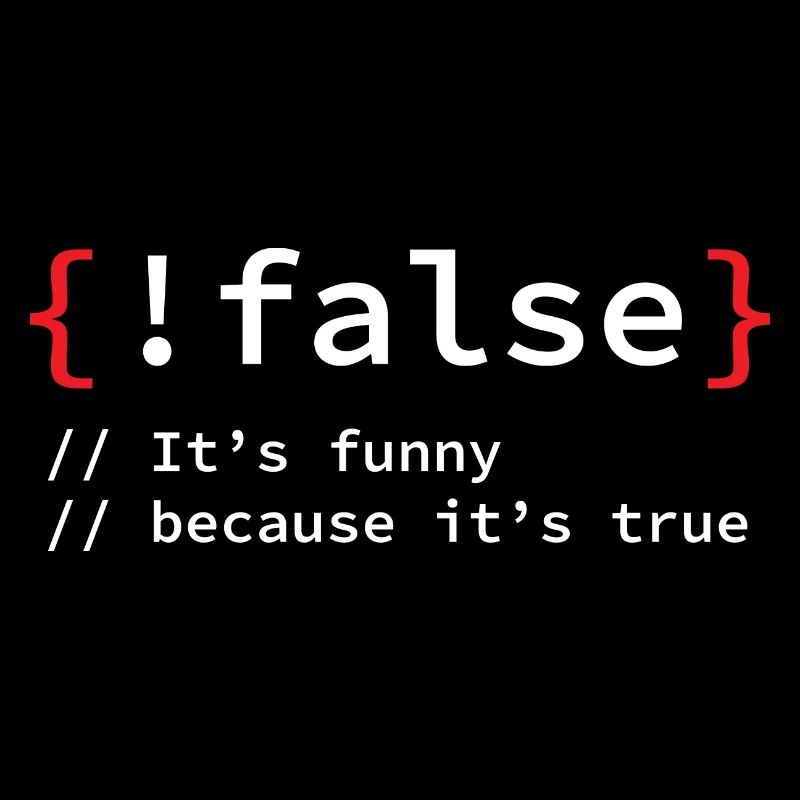 False Programmierer It Informatiker