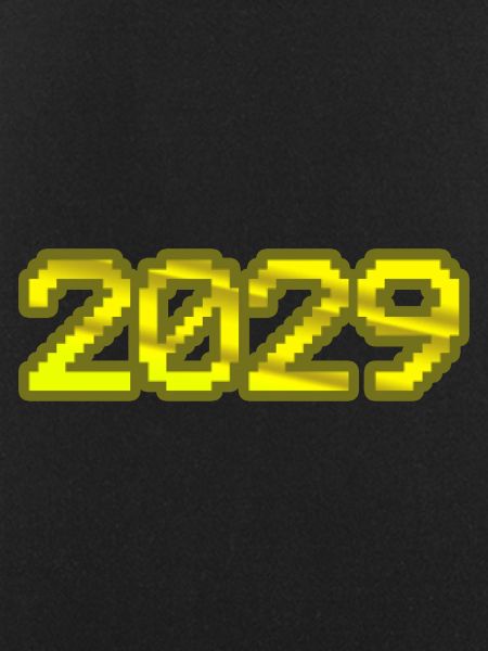 Computer 2029