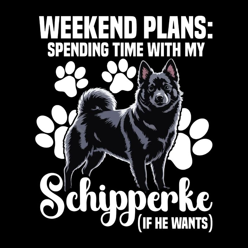 Projets de week-end : Du temps avec mon Schipperke