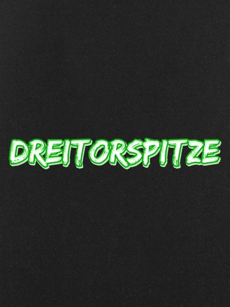 Trekking Dreitorspitze